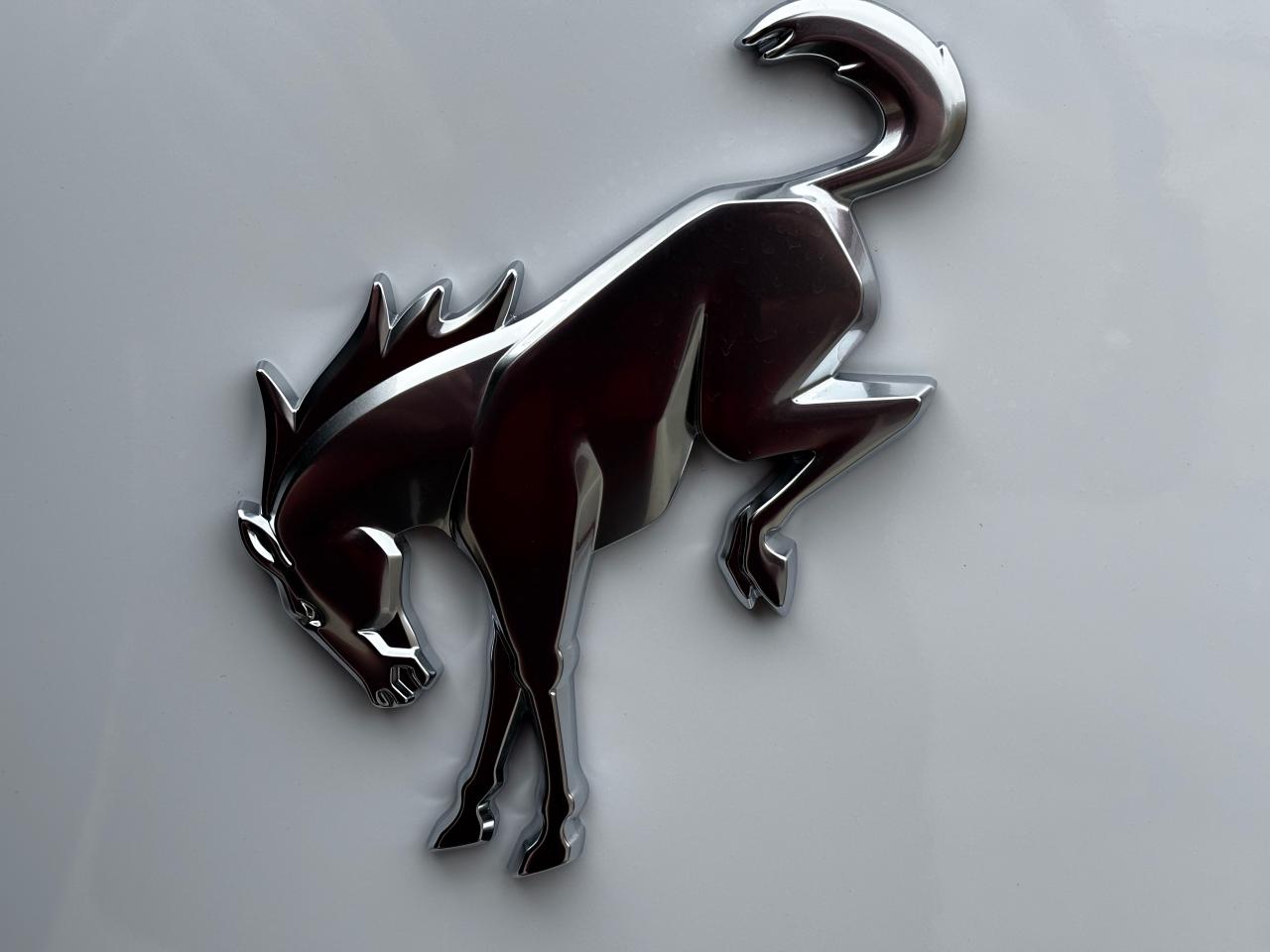 2025 Ford Bronco Outer Banks® Photo5