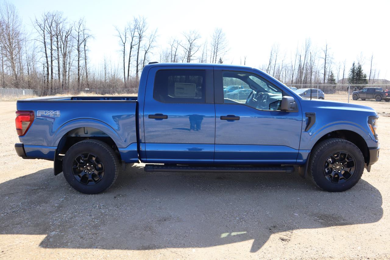 2025 Ford F-150 STX Photo5