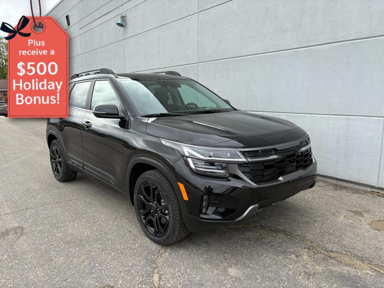 New 2025 Kia Seltos X-LINE for sale in Listowel, ON