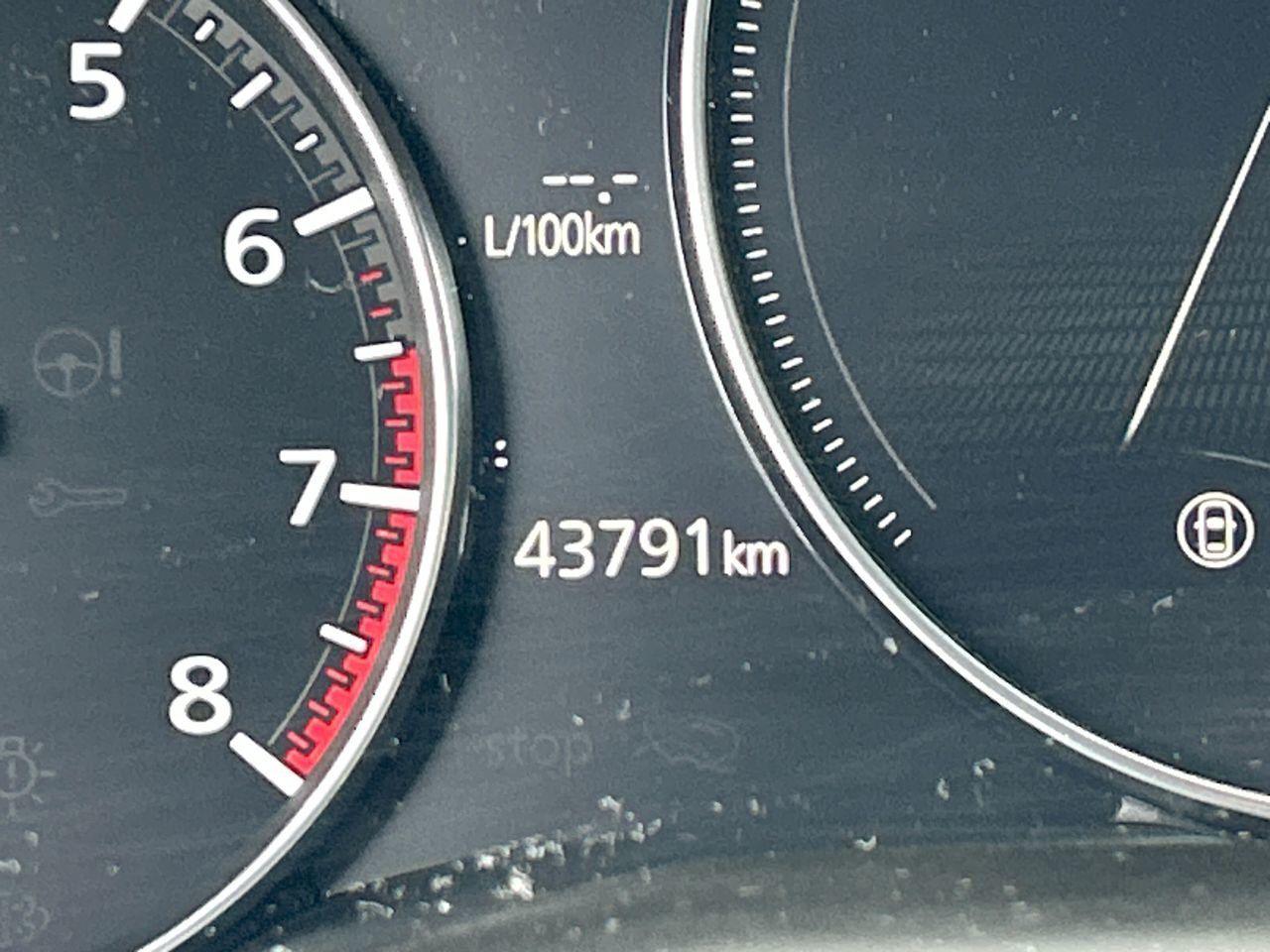12299555