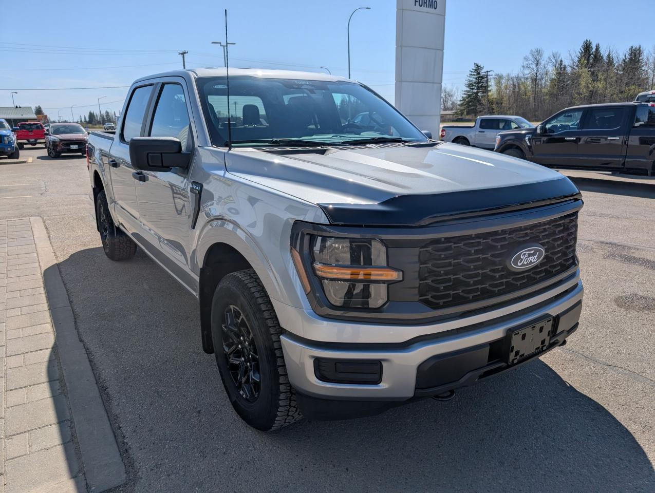 2025 Ford F-150 STX Photo3