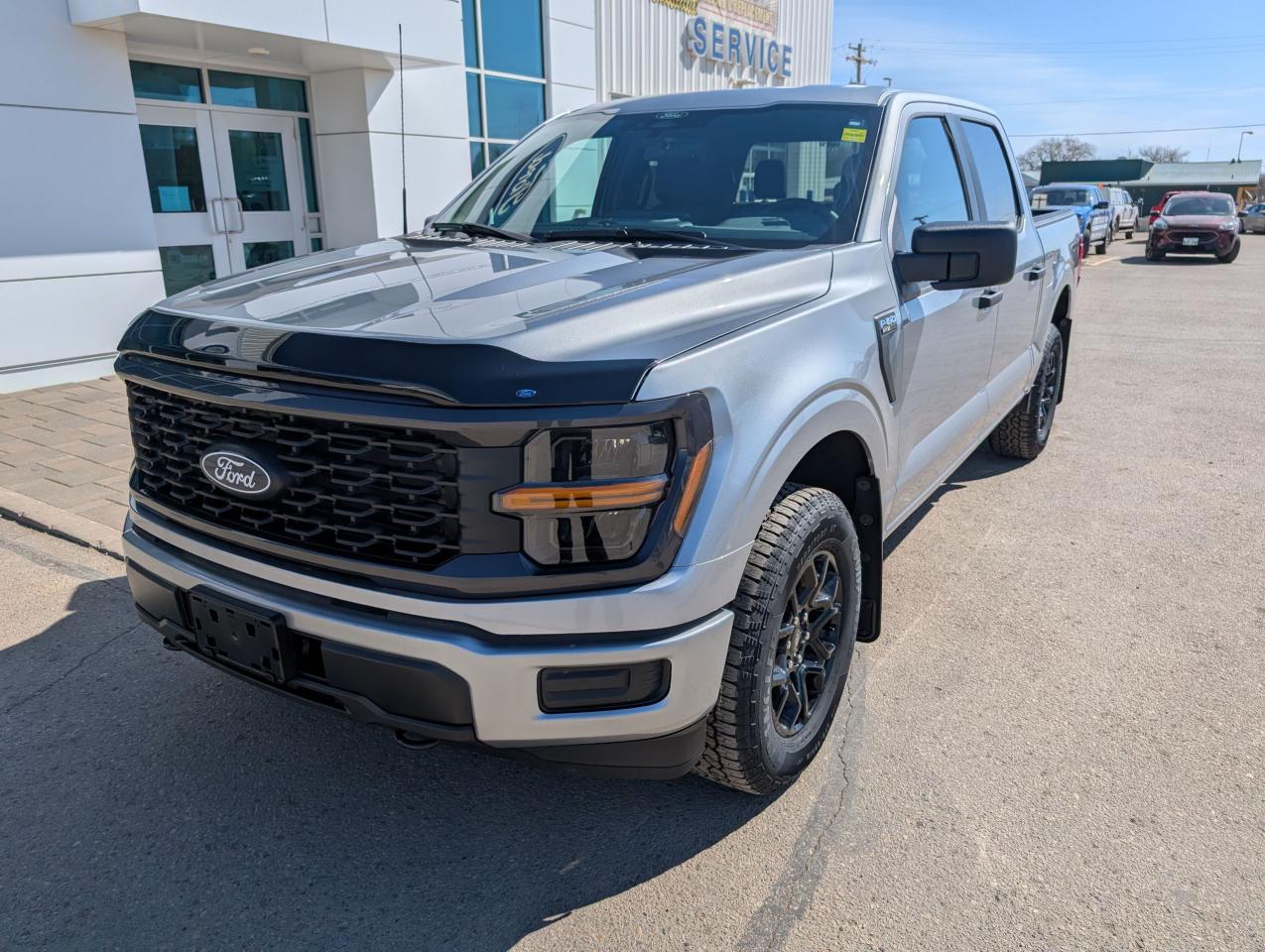 2025 Ford F-150 STX Photo