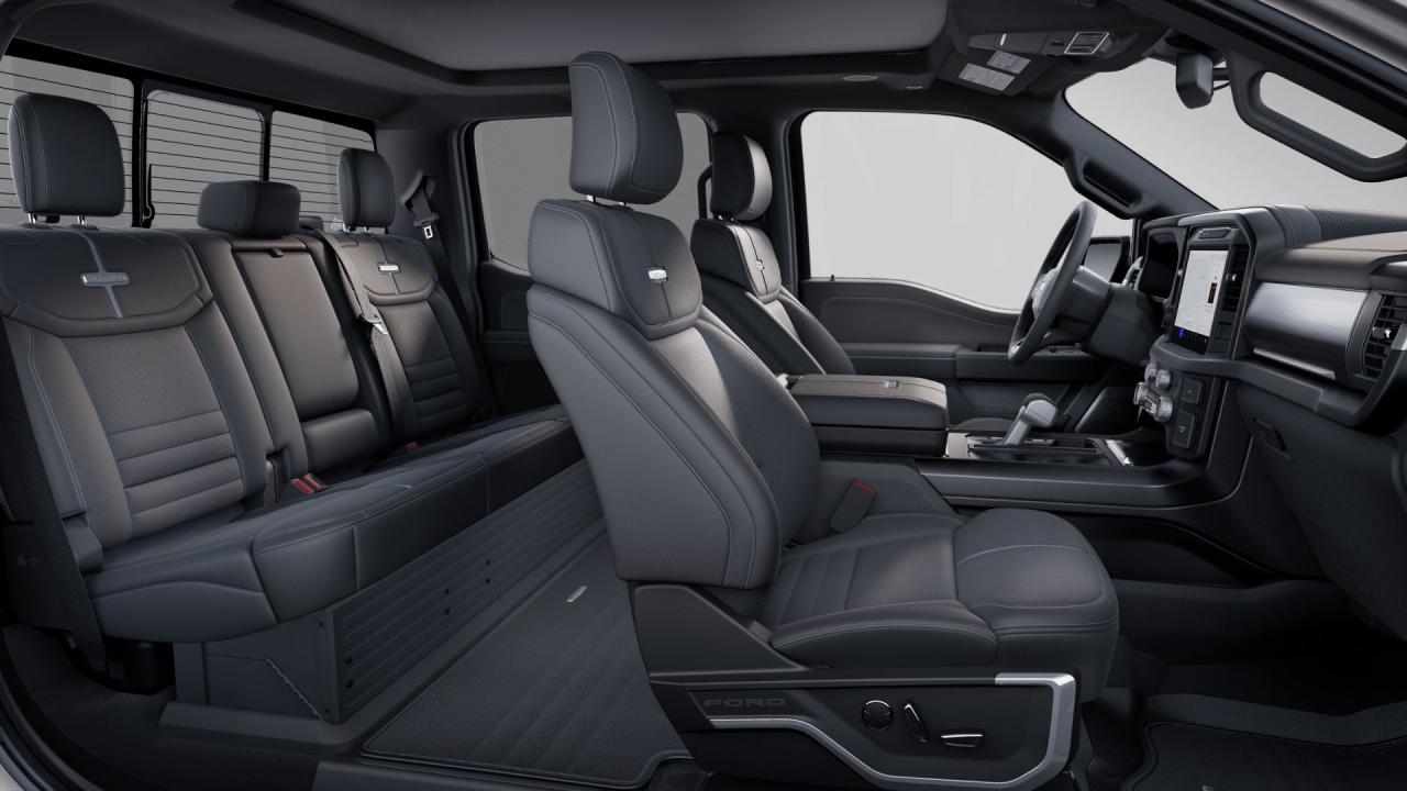 2025 Ford F-150 PLATINUM Photo5