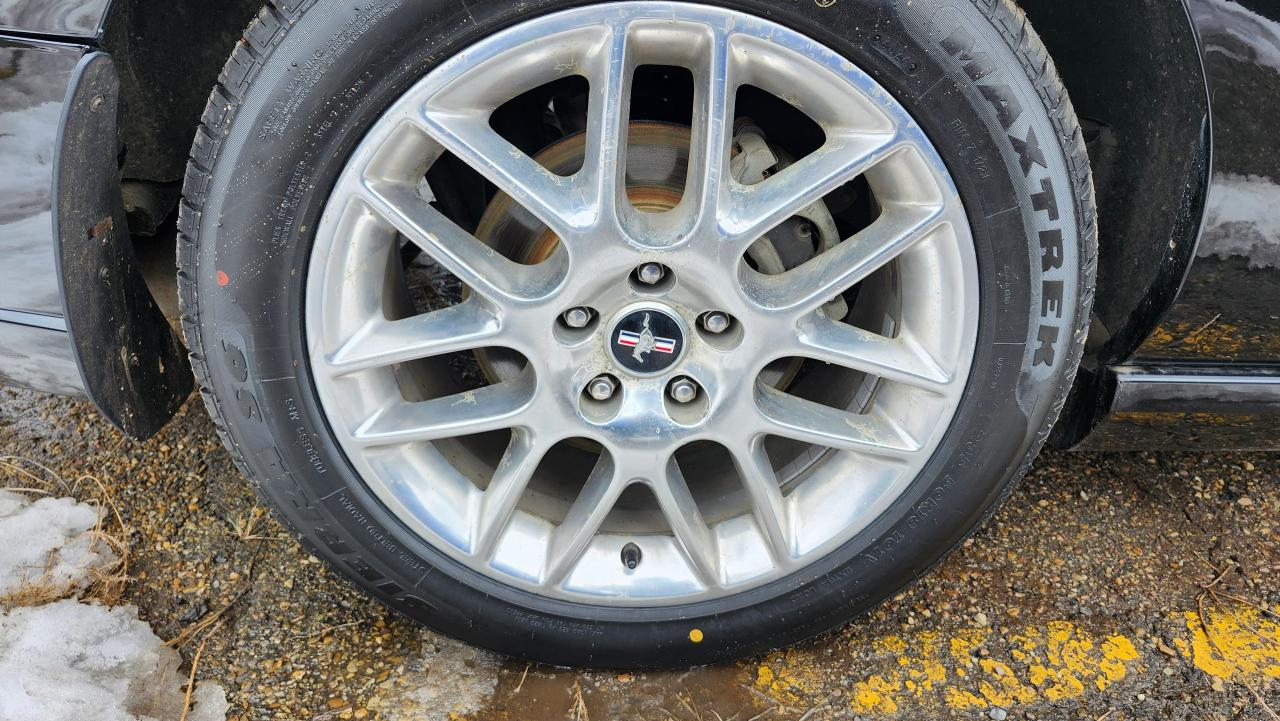 2014 Ford Mustang V6, Shaker Sound, Htd Seats, BT, Park assist - Photo #7
