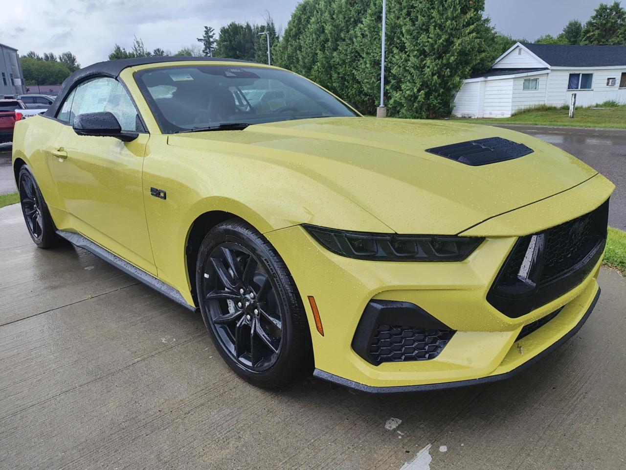 2025 Ford Mustang GT Premium Photo