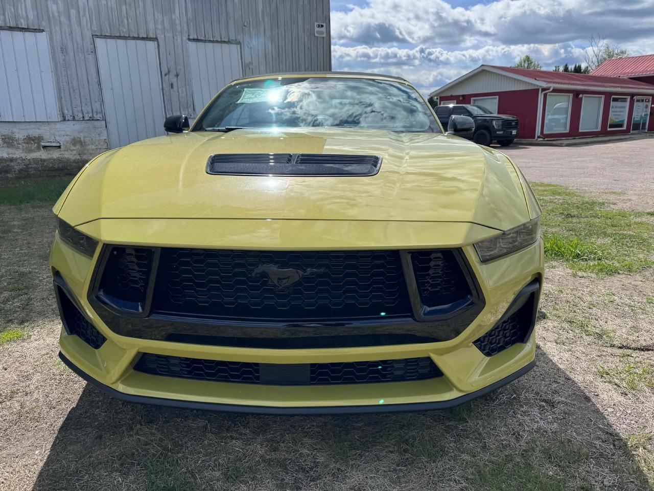 2025 Ford Mustang GT Premium Photo5