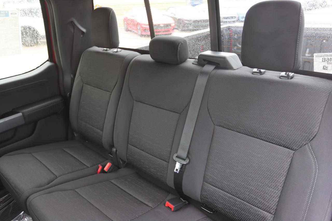 2025 Ford F-150 XLT 4WD SuperCrew 5.5' Box Photo5