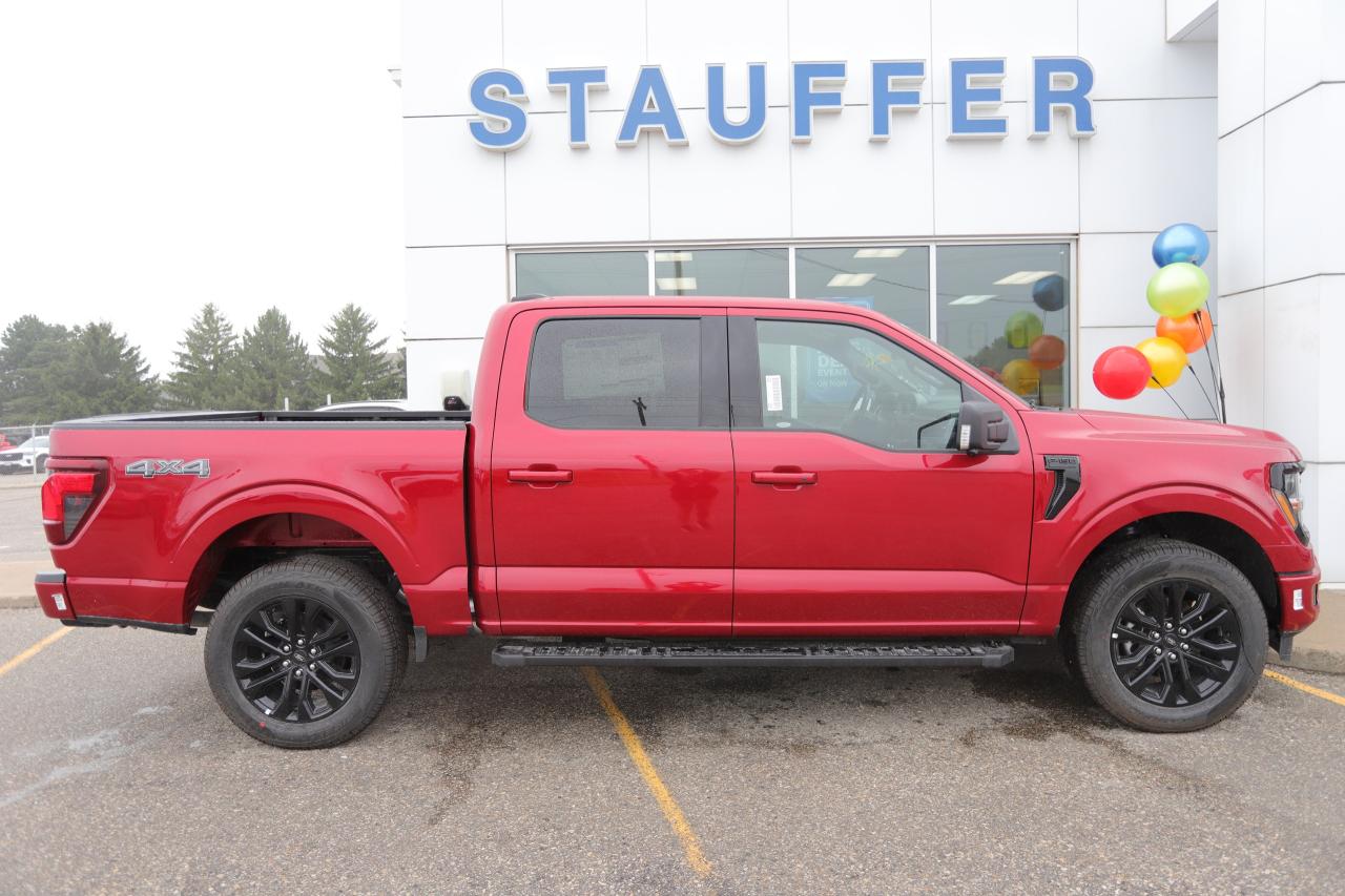 2025 Ford F-150 XLT 4WD SuperCrew 5.5' Box Photo5