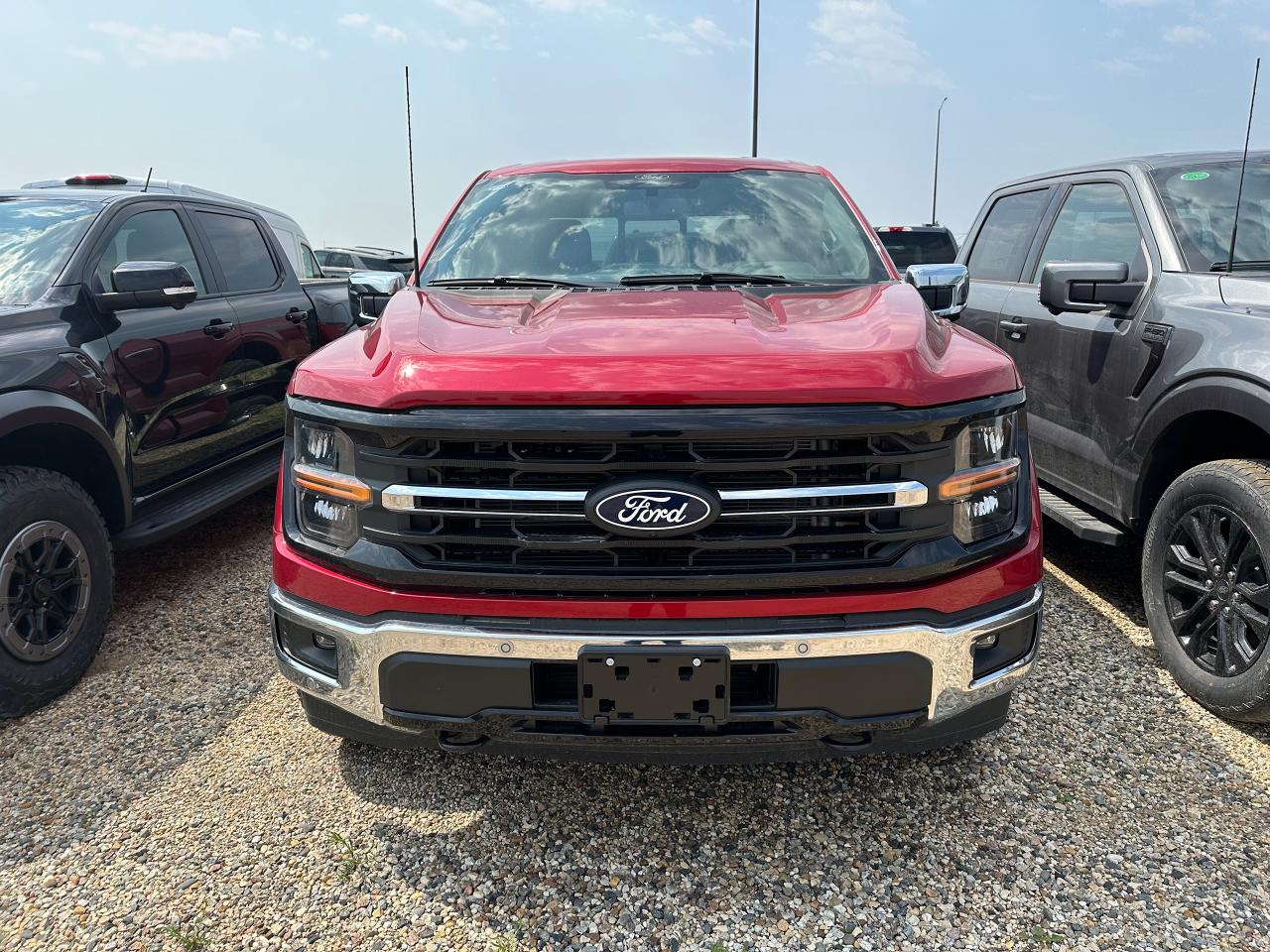2025 Ford F-150 XLT 4WD SuperCrew 5.5' Box 302A Photo