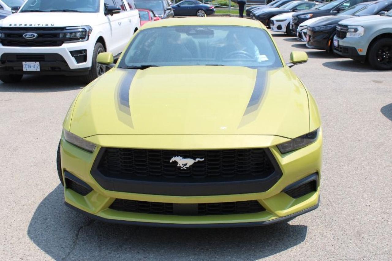 2025 Ford Mustang EcoBoost Fastback Photo