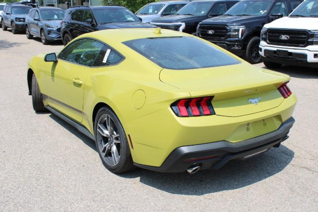 2025 Ford Mustang EcoBoost Fastback Photo