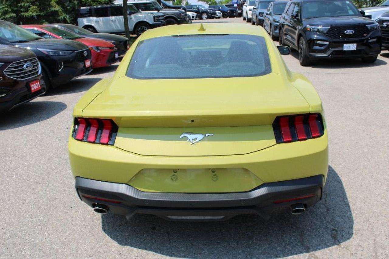 2025 Ford Mustang EcoBoost Fastback Photo