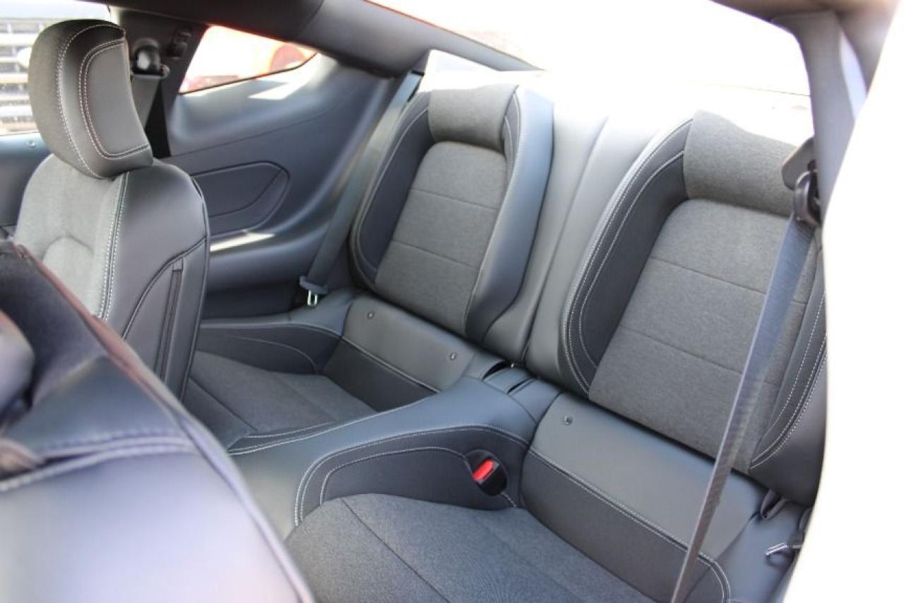 2025 Ford Mustang EcoBoost Fastback Photo