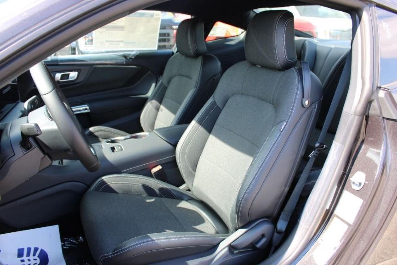 2025 Ford Mustang EcoBoost Fastback Photo