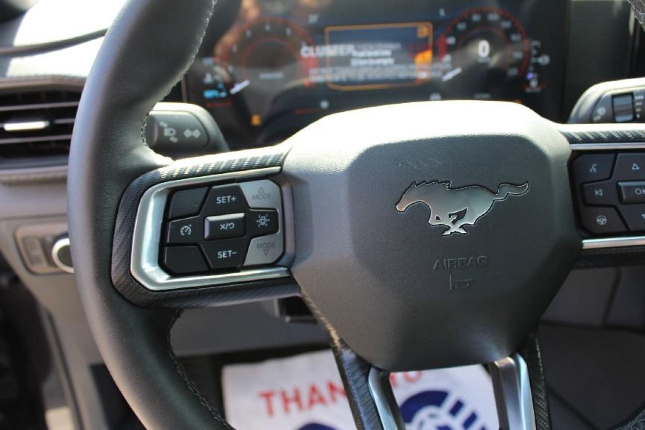 2025 Ford Mustang EcoBoost Fastback Photo