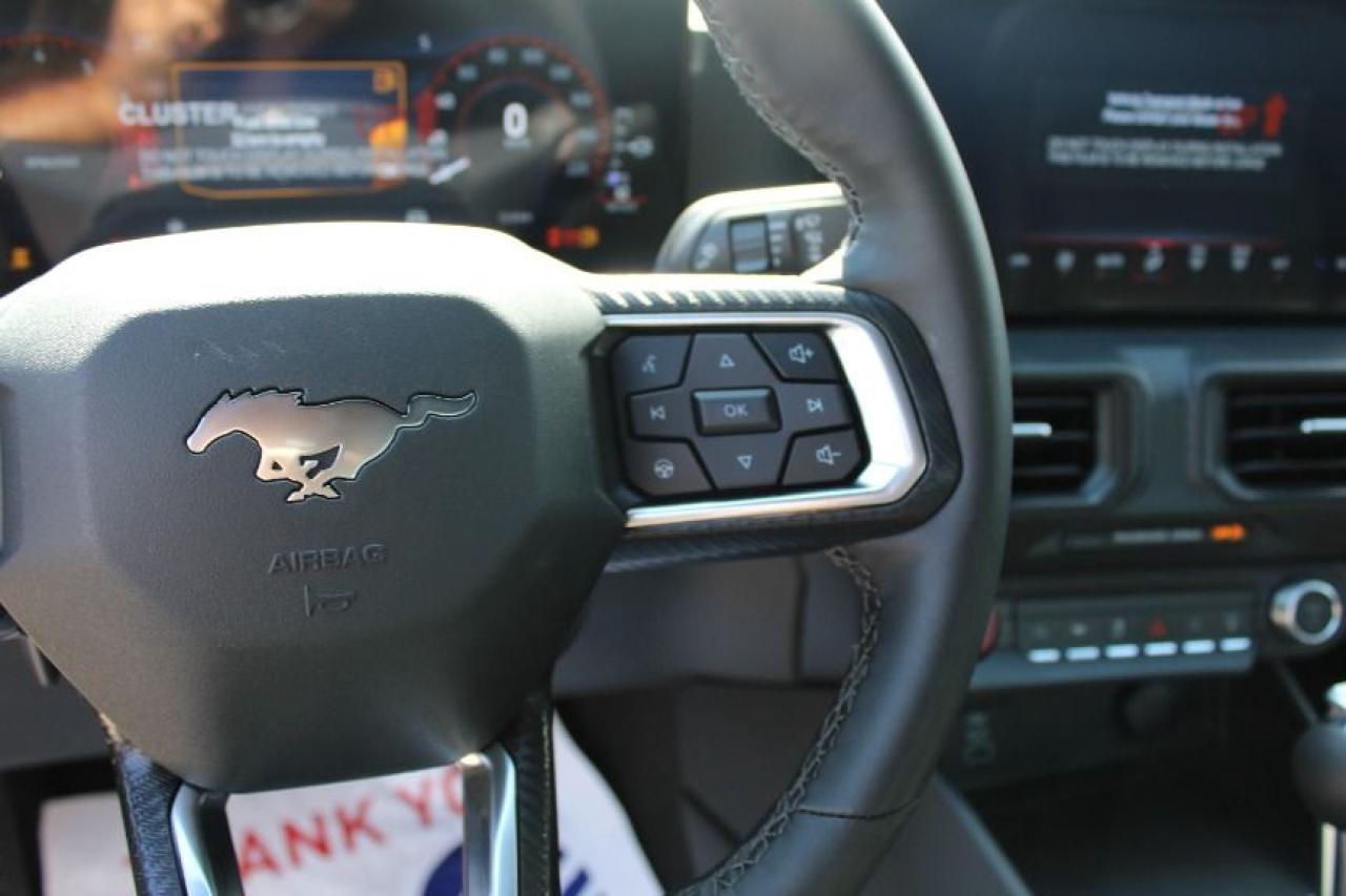 2025 Ford Mustang EcoBoost Fastback Photo