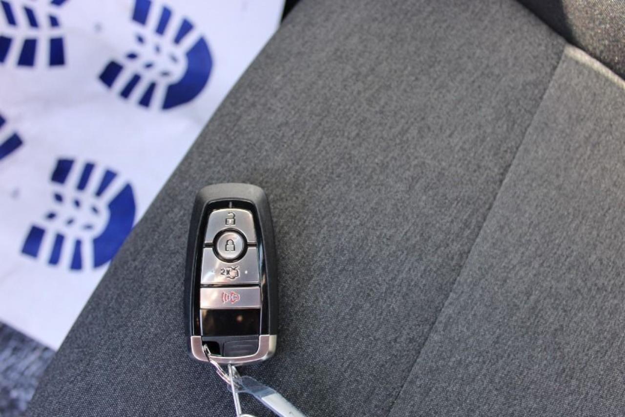 2025 Ford Mustang EcoBoost Fastback Photo