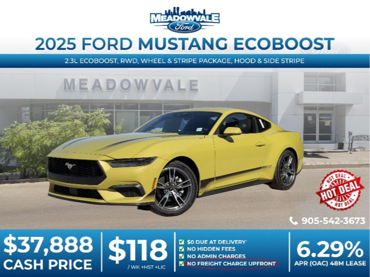 2025 Ford Mustang EcoBoost Fastback Photo0
