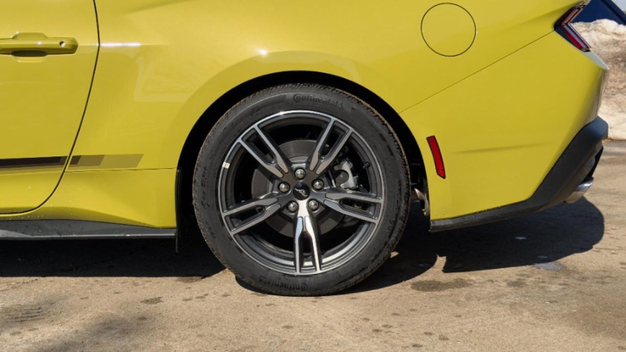 2025 Ford Mustang EcoBoost Fastback Photo