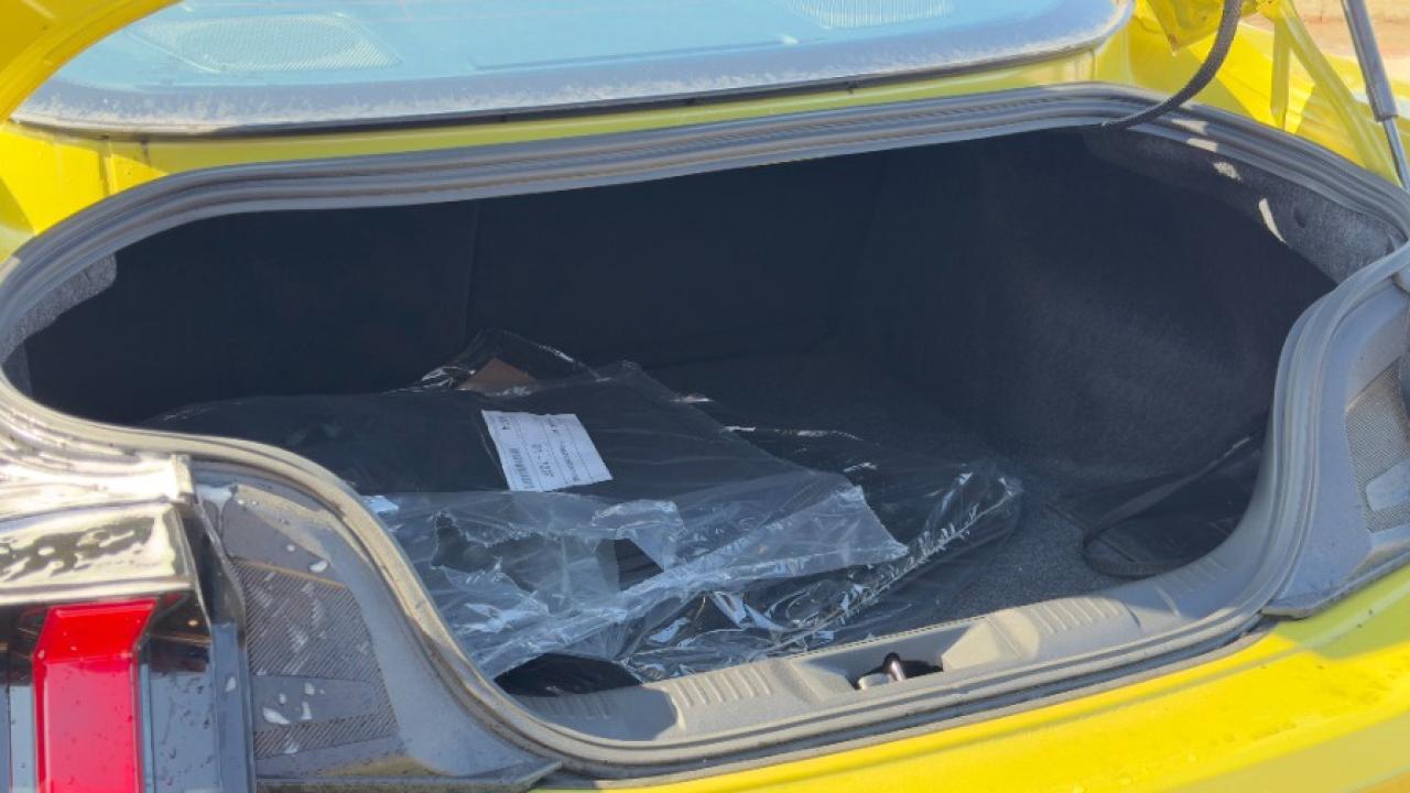 2025 Ford Mustang EcoBoost Fastback Photo