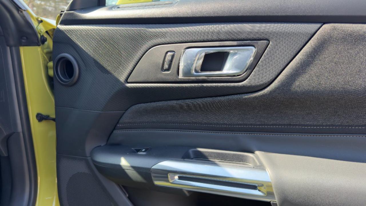 2025 Ford Mustang EcoBoost Fastback Photo