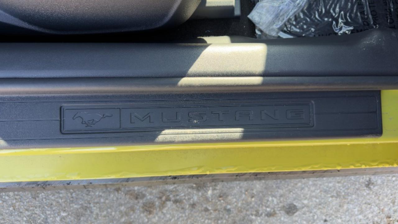 2025 Ford Mustang EcoBoost Fastback Photo