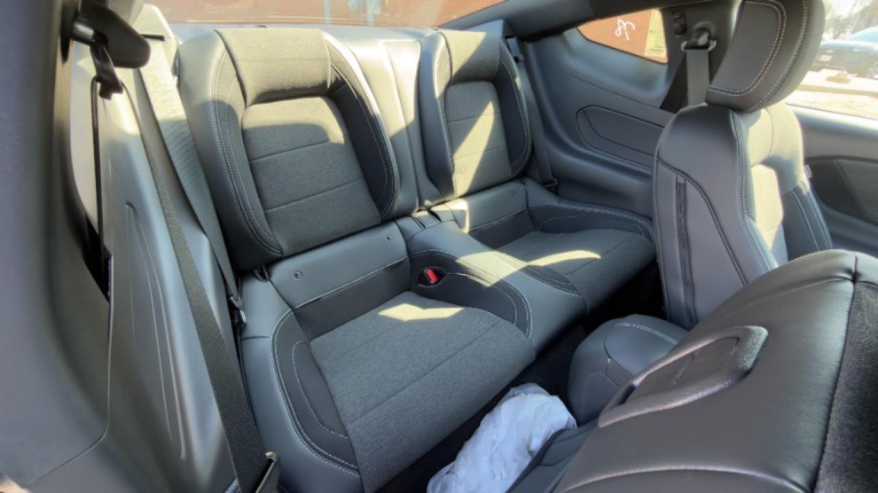 2025 Ford Mustang EcoBoost Fastback Photo