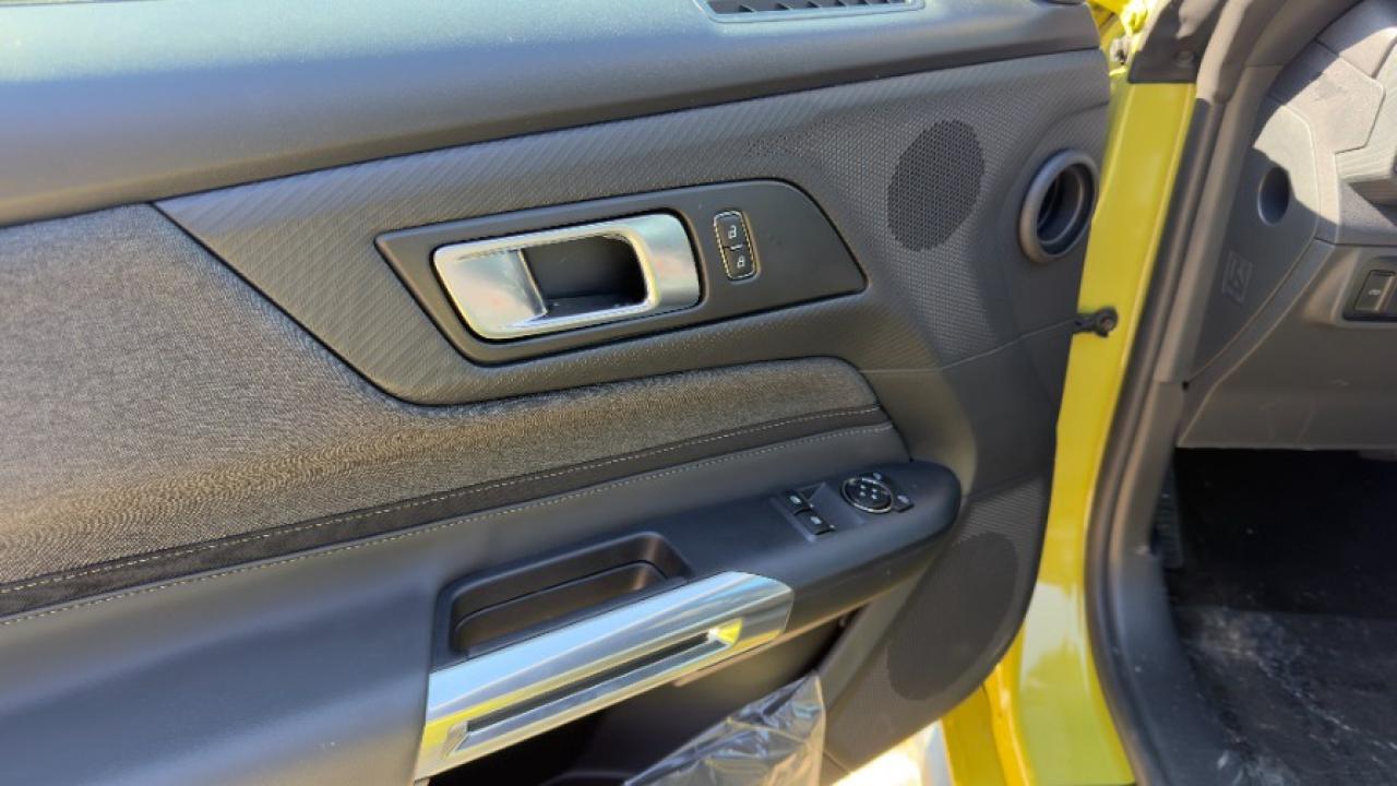 2025 Ford Mustang EcoBoost Fastback Photo