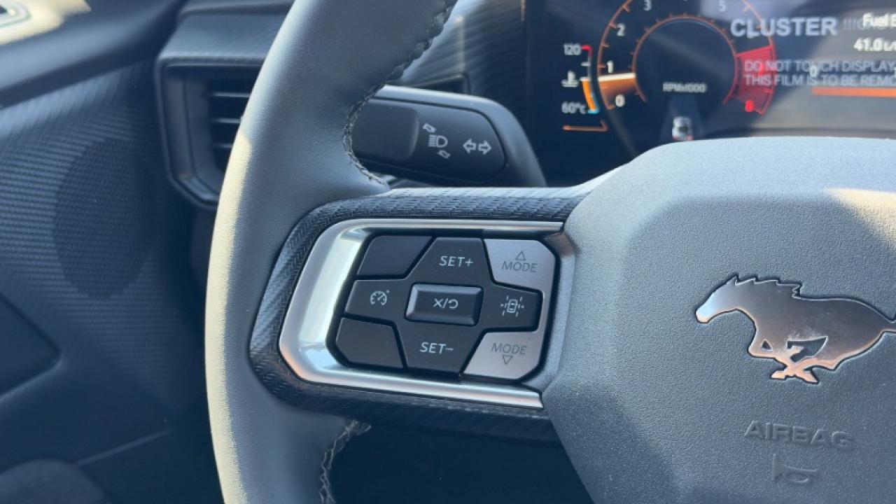 2025 Ford Mustang EcoBoost Fastback Photo