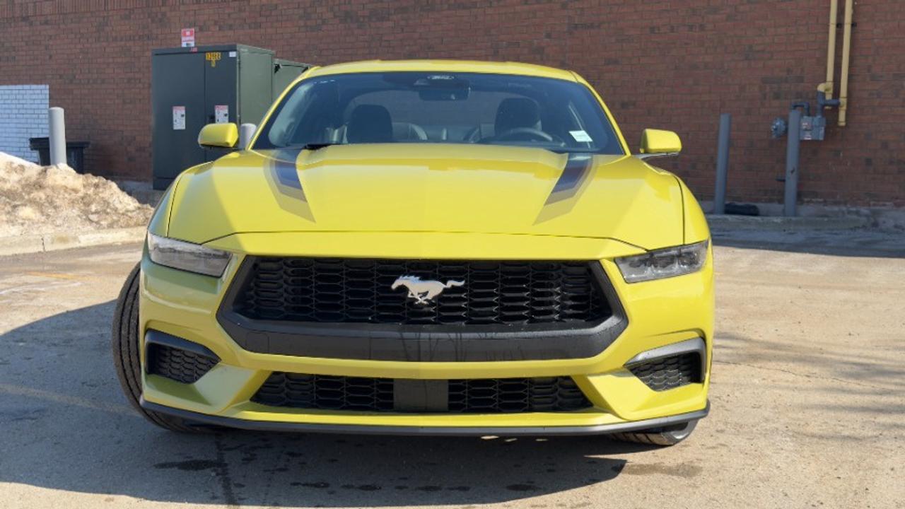 2025 Ford Mustang EcoBoost Fastback Photo3