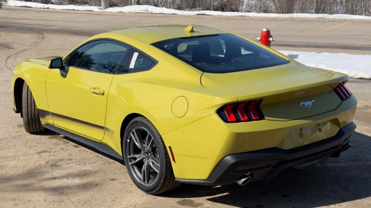 2025 Ford Mustang EcoBoost Fastback Photo