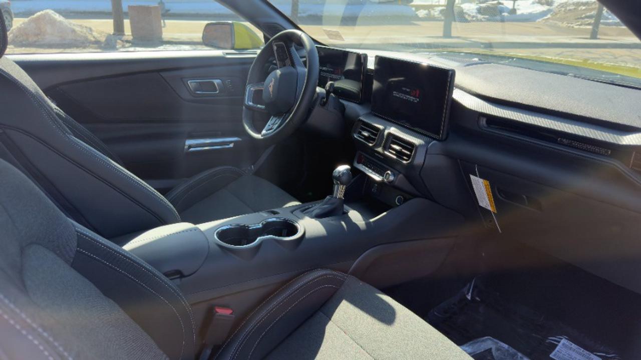 2025 Ford Mustang EcoBoost Fastback Photo