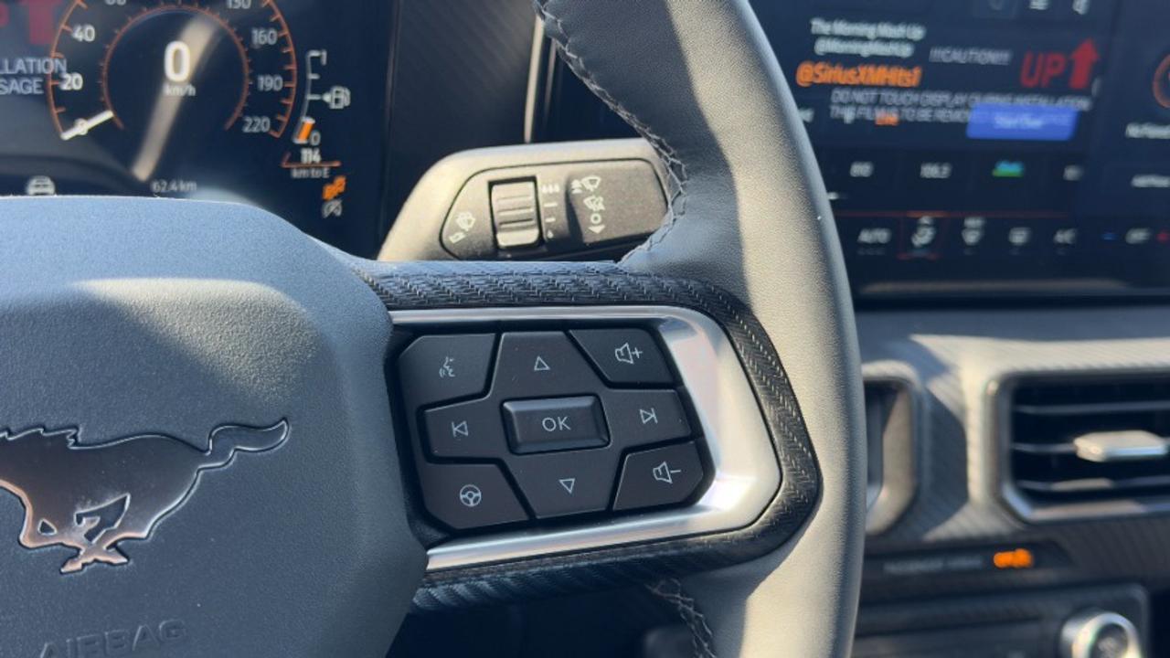 2025 Ford Mustang EcoBoost Fastback Photo