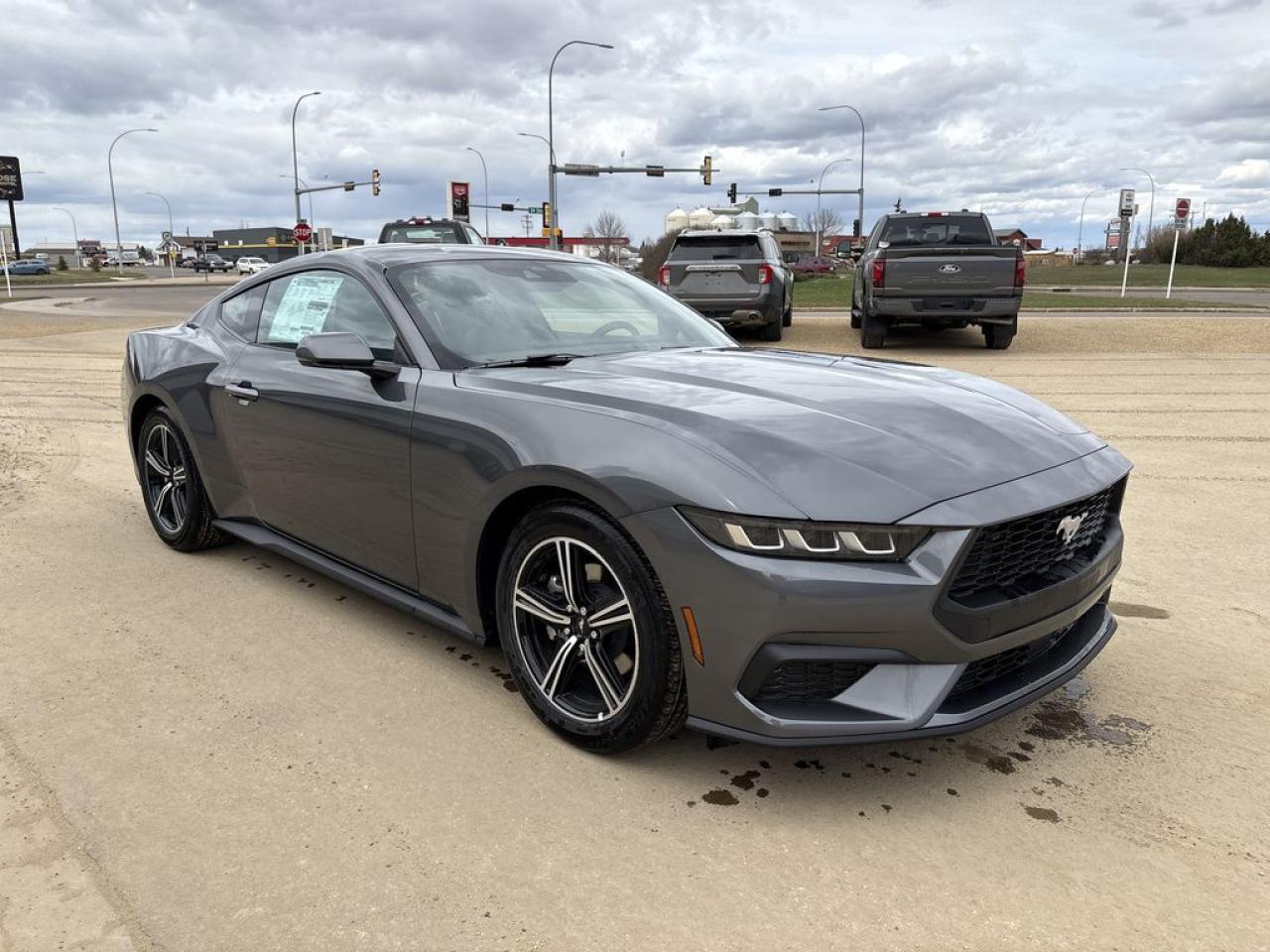 New 2025 Ford Mustang EcoBoost Premium 201A for sale in Camrose, AB