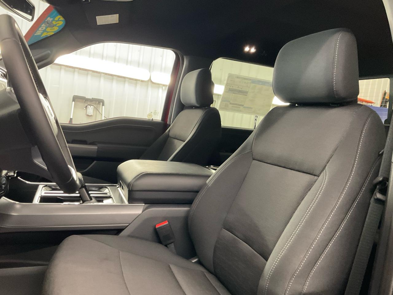 2025 Ford F-150 XLT Photo5