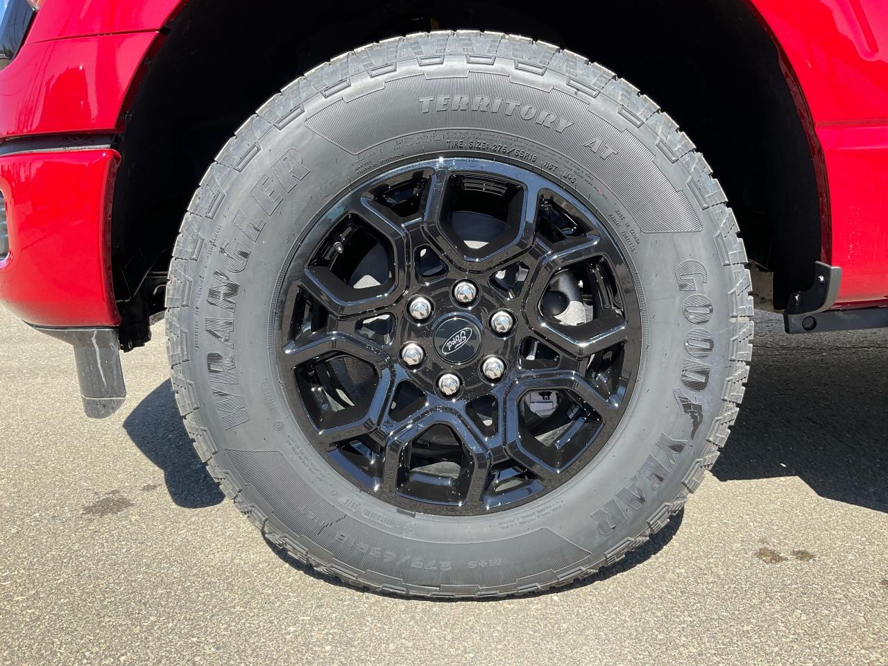2025 Ford F-150 XLT Photo5
