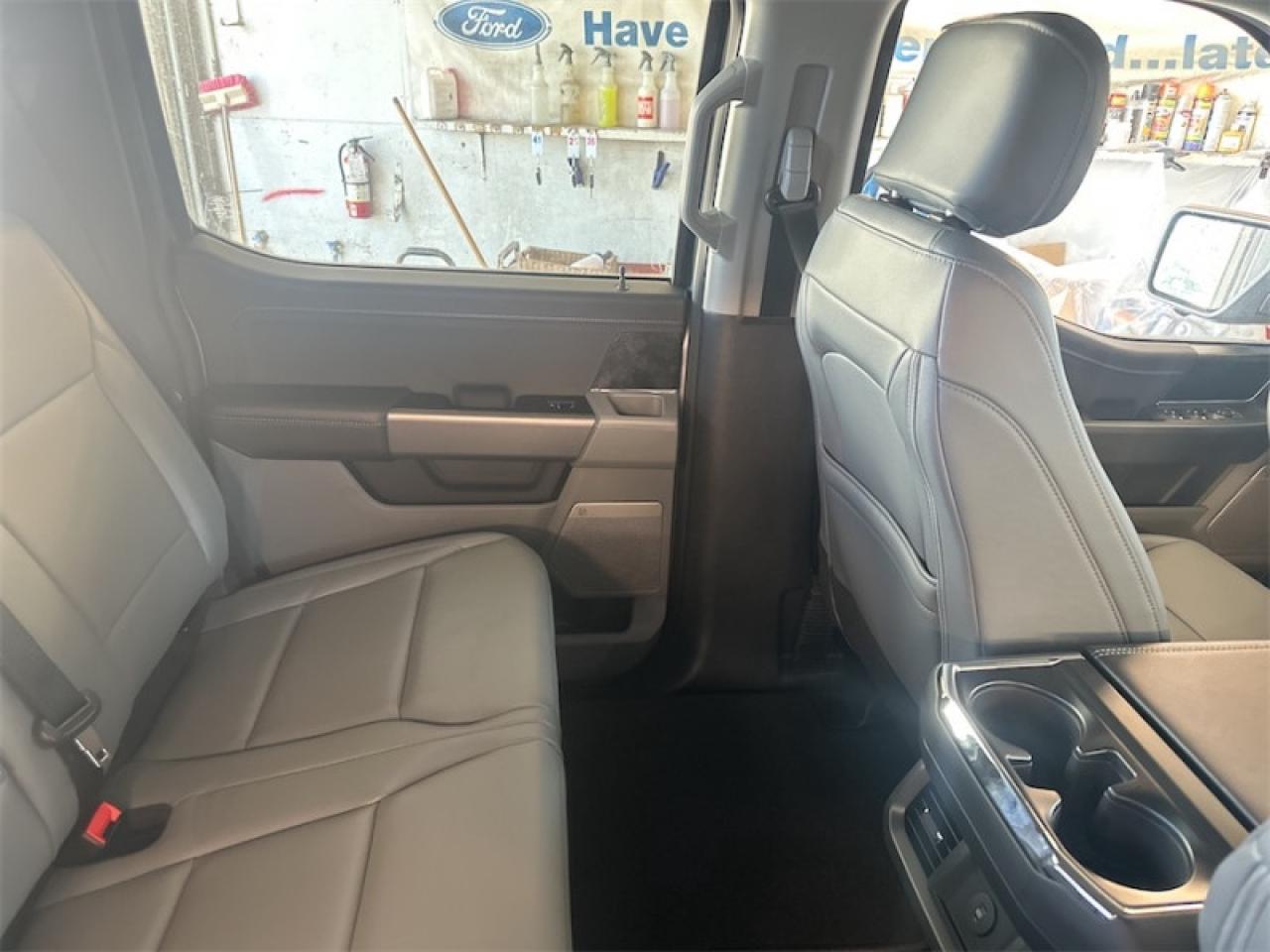 2025 Ford F-150 Lightning Flash Photo5