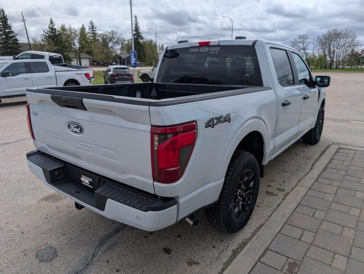 2025 Ford F-150 STX Photo5