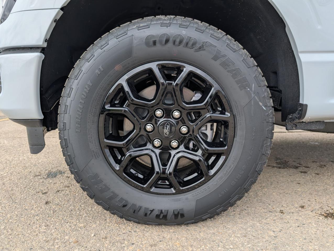 2025 Ford F-150 STX Photo5