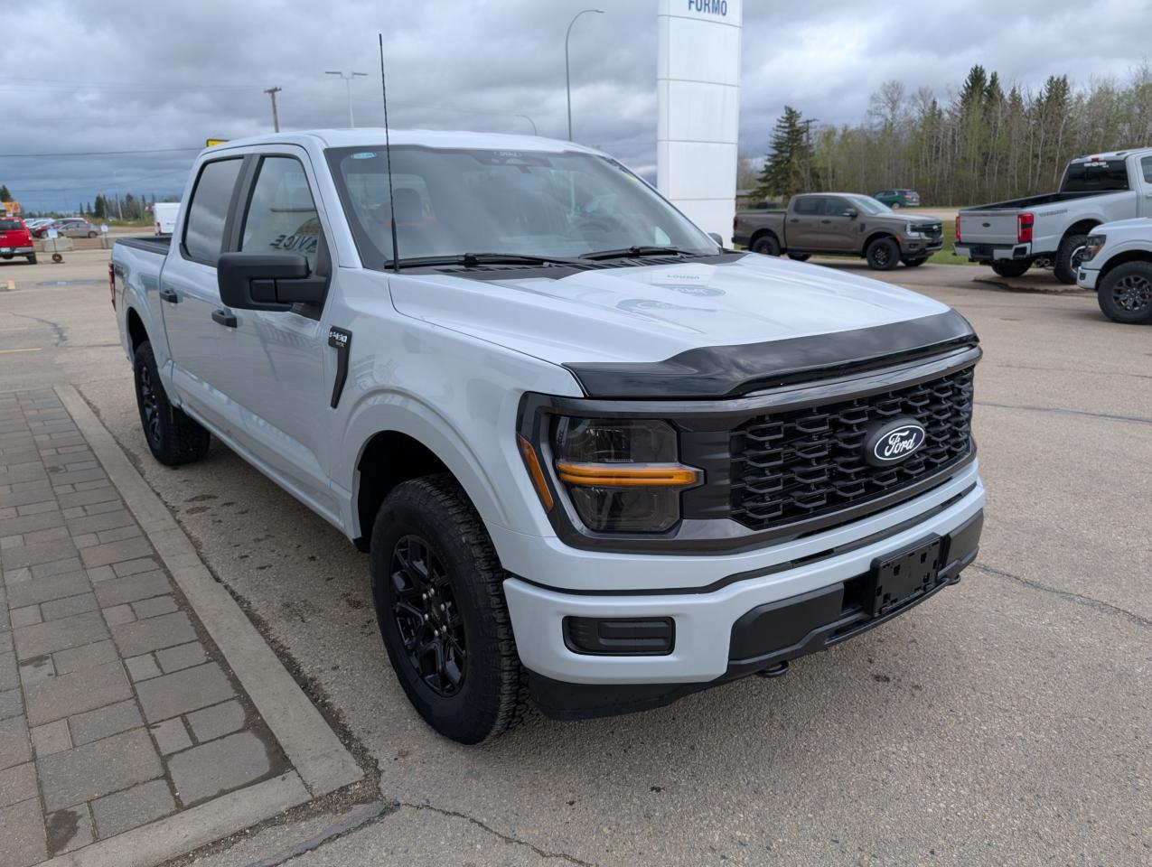 2025 Ford F-150 STX Photo3