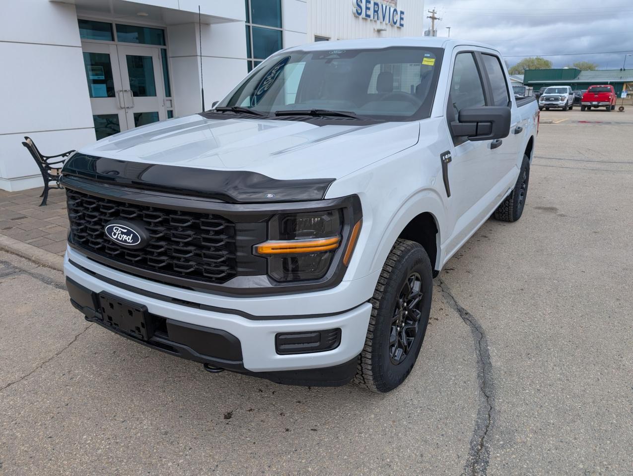 2025 Ford F-150 STX Photo1