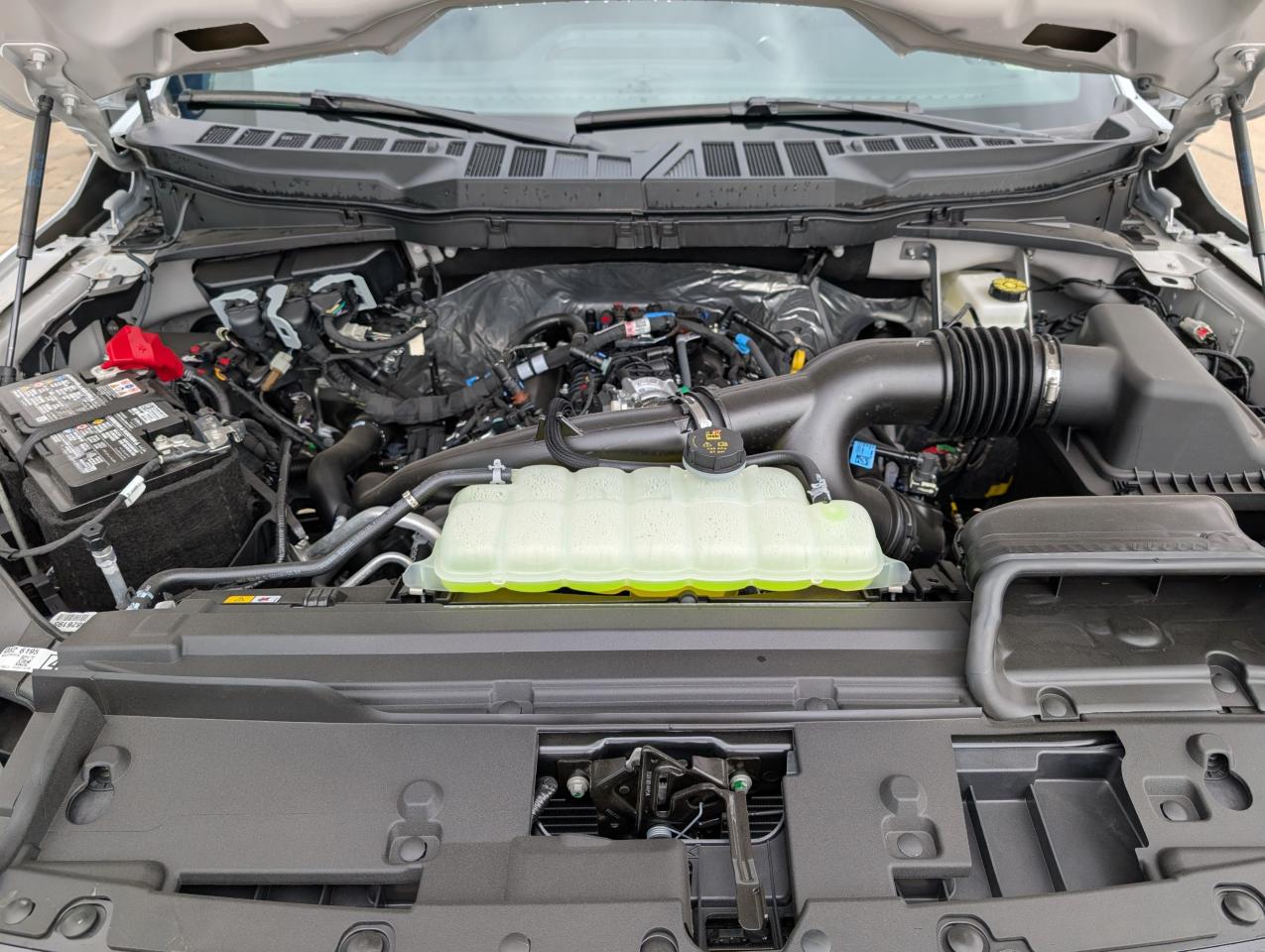 2025 Ford F-150 STX Photo5
