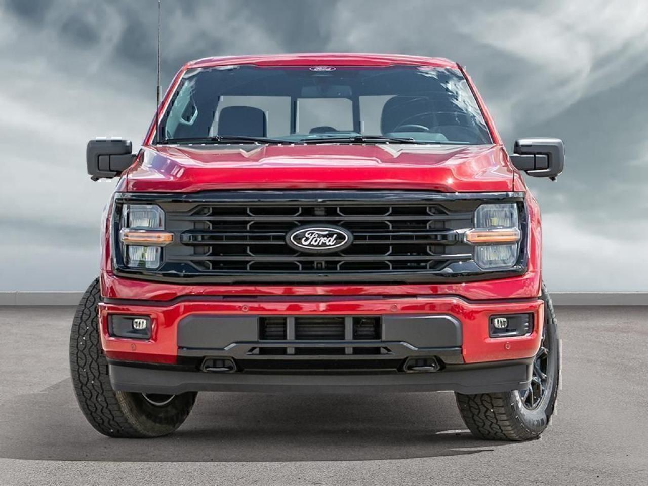 2025 Ford F-150 XLT Photo