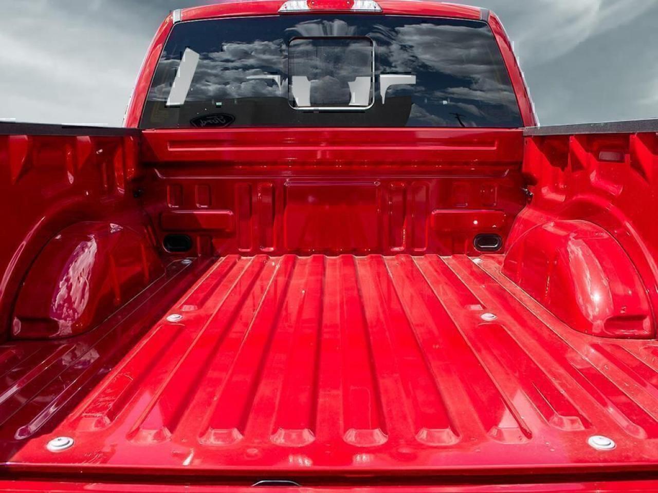 2025 Ford F-150 XLT Photo