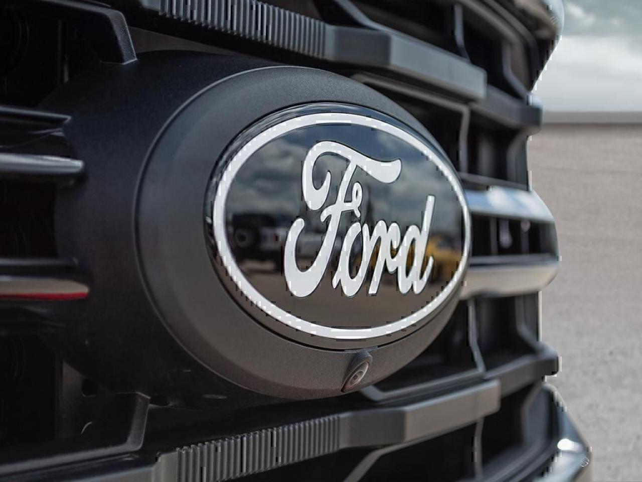 2025 Ford F-150 XLT Photo