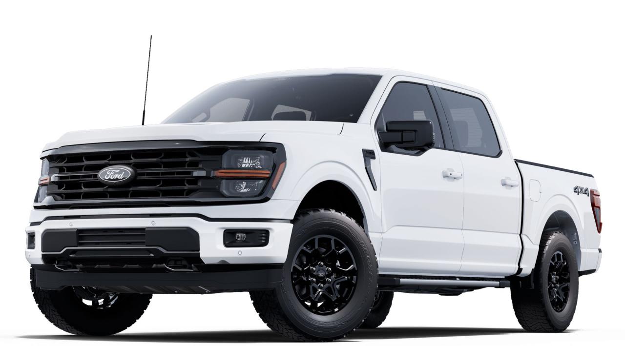 New 2025 Ford F-150 XLT 4WD SuperCrew 5.5' Box for sale in Treherne, MB