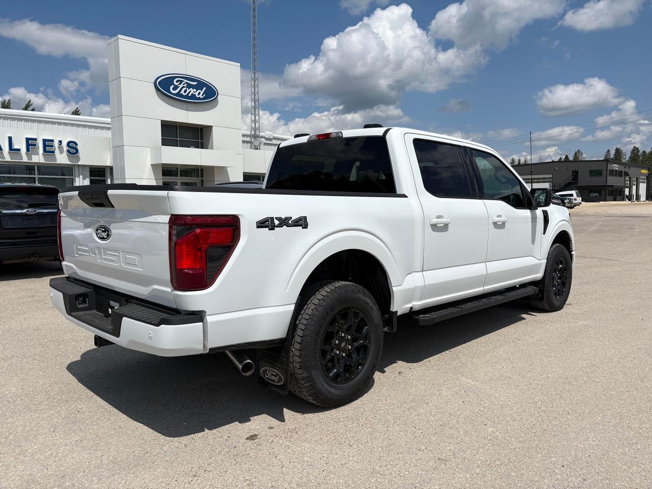 2025 Ford F-150 XLT 4WD SuperCrew 5.5' Box Photo5