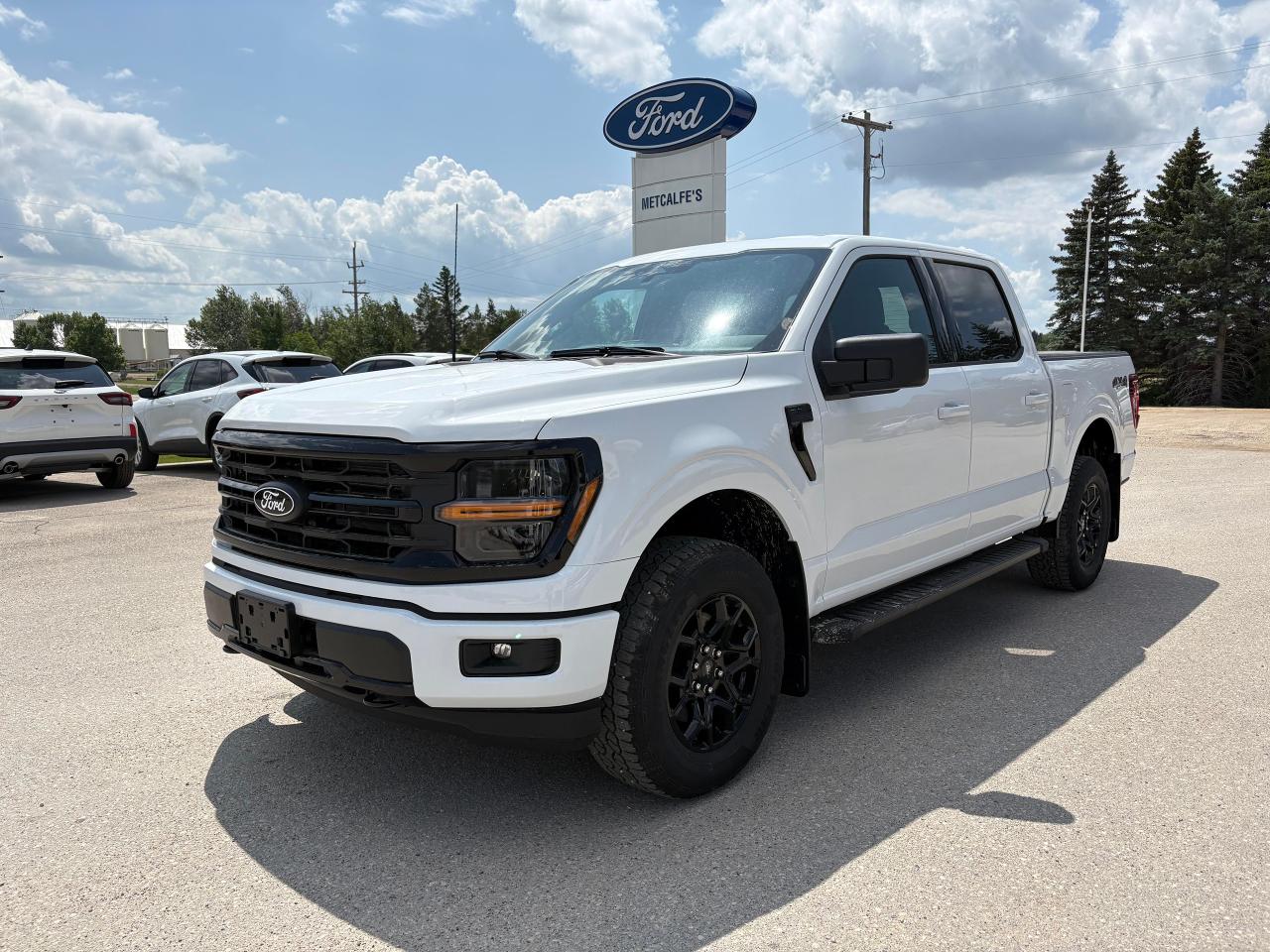 2025 Ford F-150 XLT 4WD SuperCrew 5.5' Box Photo