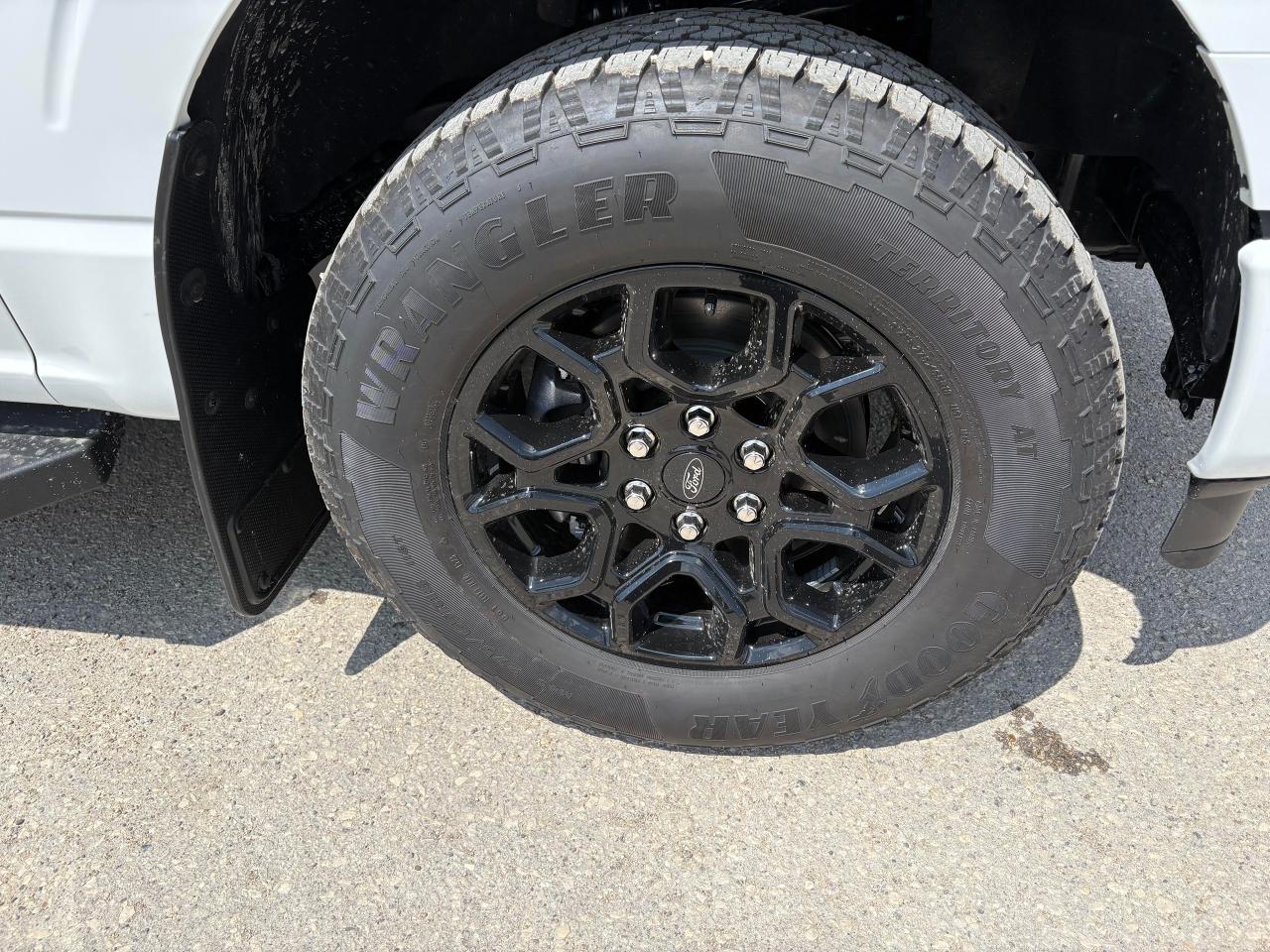 2025 Ford F-150 XLT 4WD SuperCrew 5.5' Box Photo5