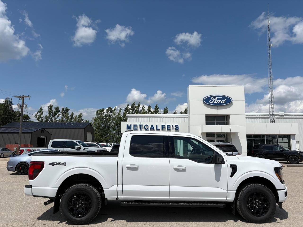 2025 Ford F-150 XLT 4WD SuperCrew 5.5' Box Photo0